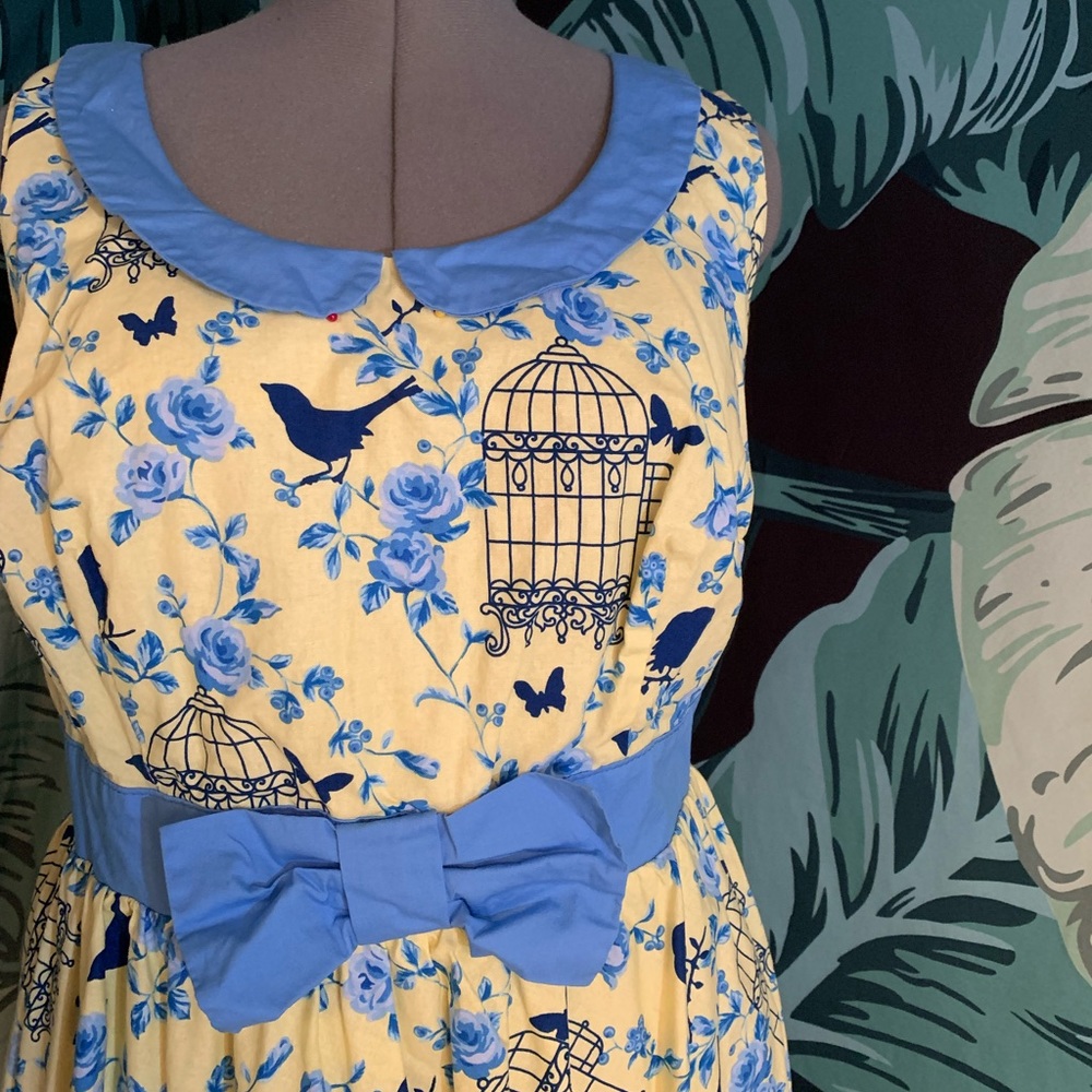 Birdcage fit and flare dress